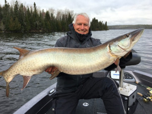 82238145_10157314550874102_7158422610718490624_n