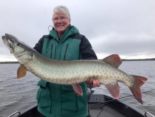 83056901_10157348094064102_5152546156181454848_n