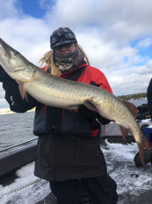 83097643_10157348094444102_1095163815202390016_n