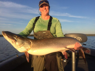 83108465_10157348101744102_1718277528772149248_n