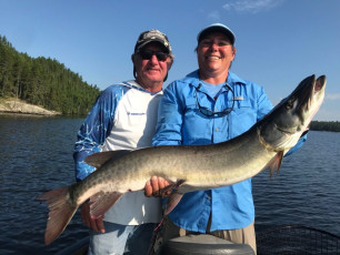 83521937_10157348094549102_6621147095619338240_n