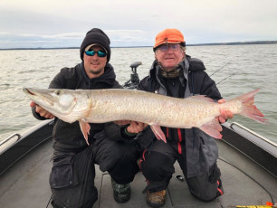 86729312_10157405494529102_5390920483241721856_n