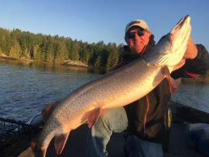 90702984_10157515609369102_5841970896331341824_n